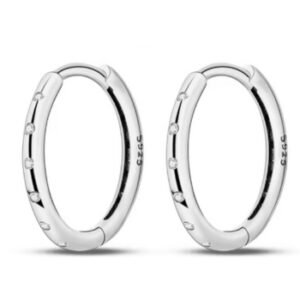 Brincos de Prata Lisos com Zircônias